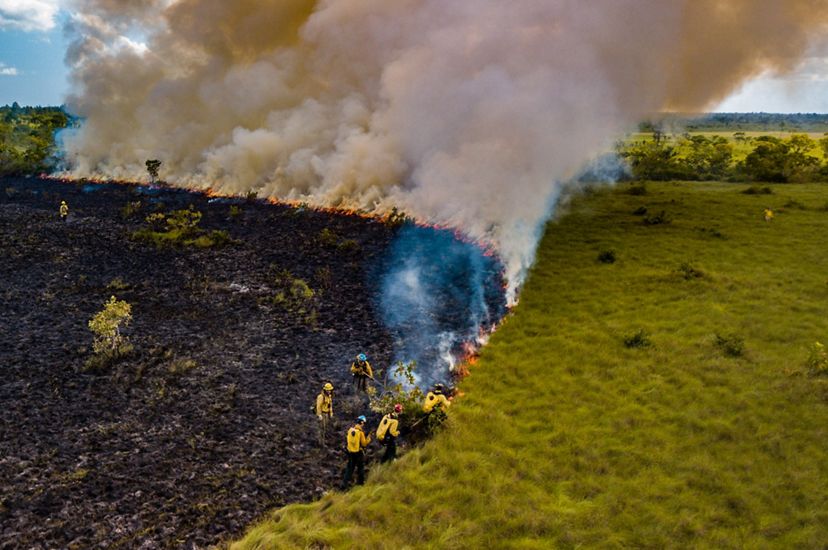Aerial view looking down on five people working along a fire line during a controlled burn. The ground under them is blackened and charred. A wall of thick smoke rises from the curving line of fire. 