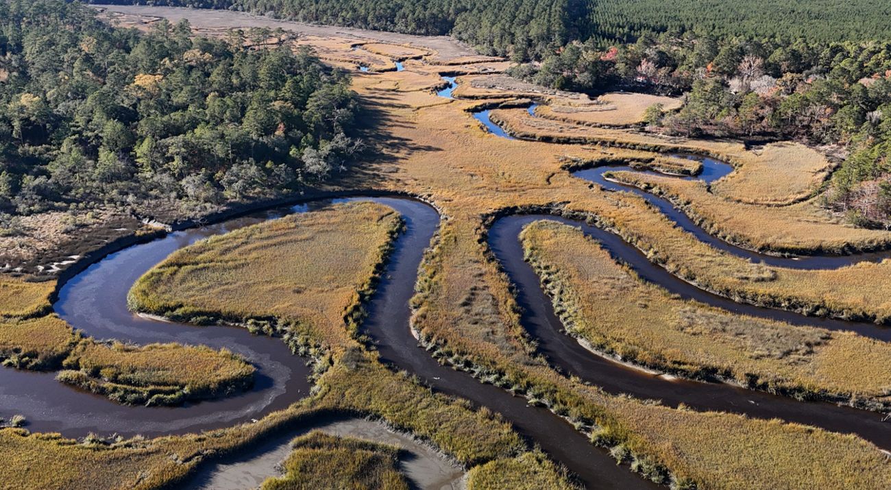 A thin dark-water creek curves through golden marsh grasses.