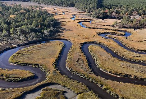 A thin dark-water creek curves through golden marsh grasses.