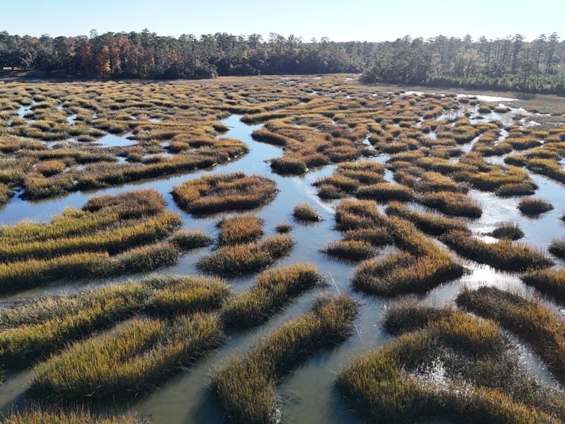 Aerial view of the Chelsea Plantation water frontage.