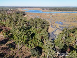 An aerial photo features a forest of tall pine trees bordering yellow marsh grasses and the blue waters of a wide river and the many creeks that lead to it.
