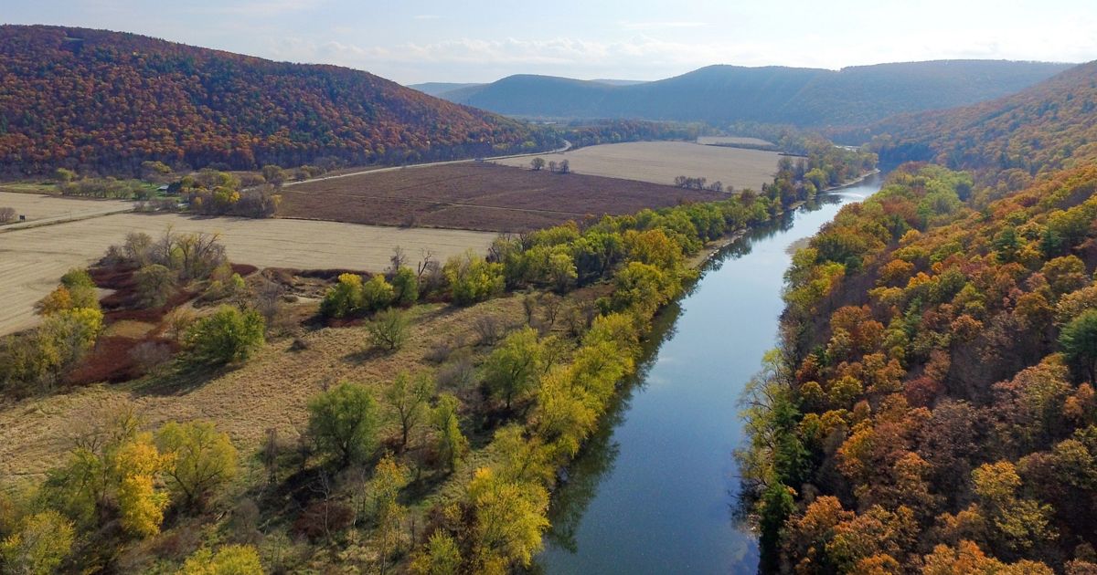 NY's $650K Climate Resilience Grants Open for 2026