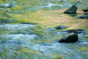 A running river close-up photo.