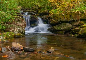 Inside the Cherokee National Forest | TNC