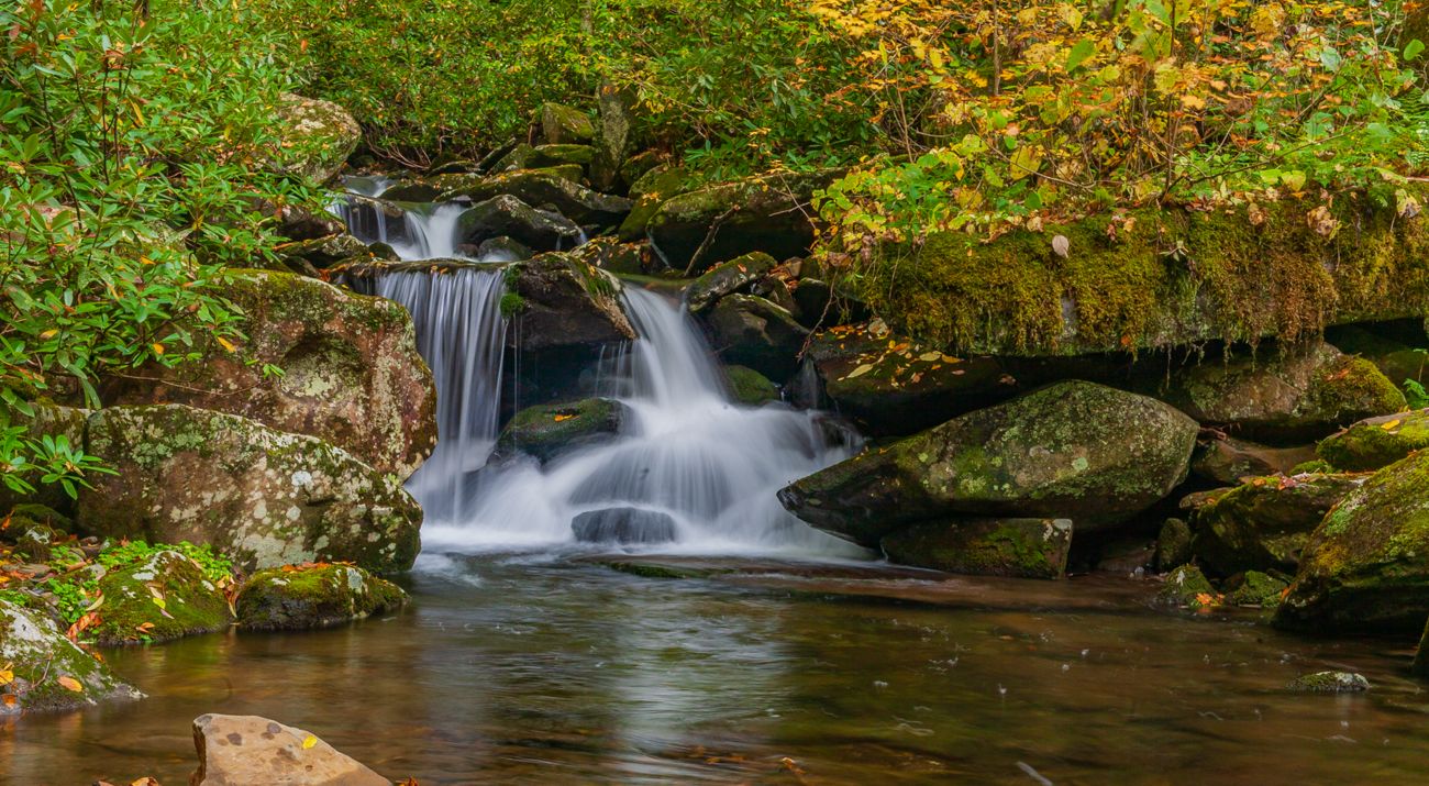 Cheeiiee Inside the Cherokee National Forest | TNC
