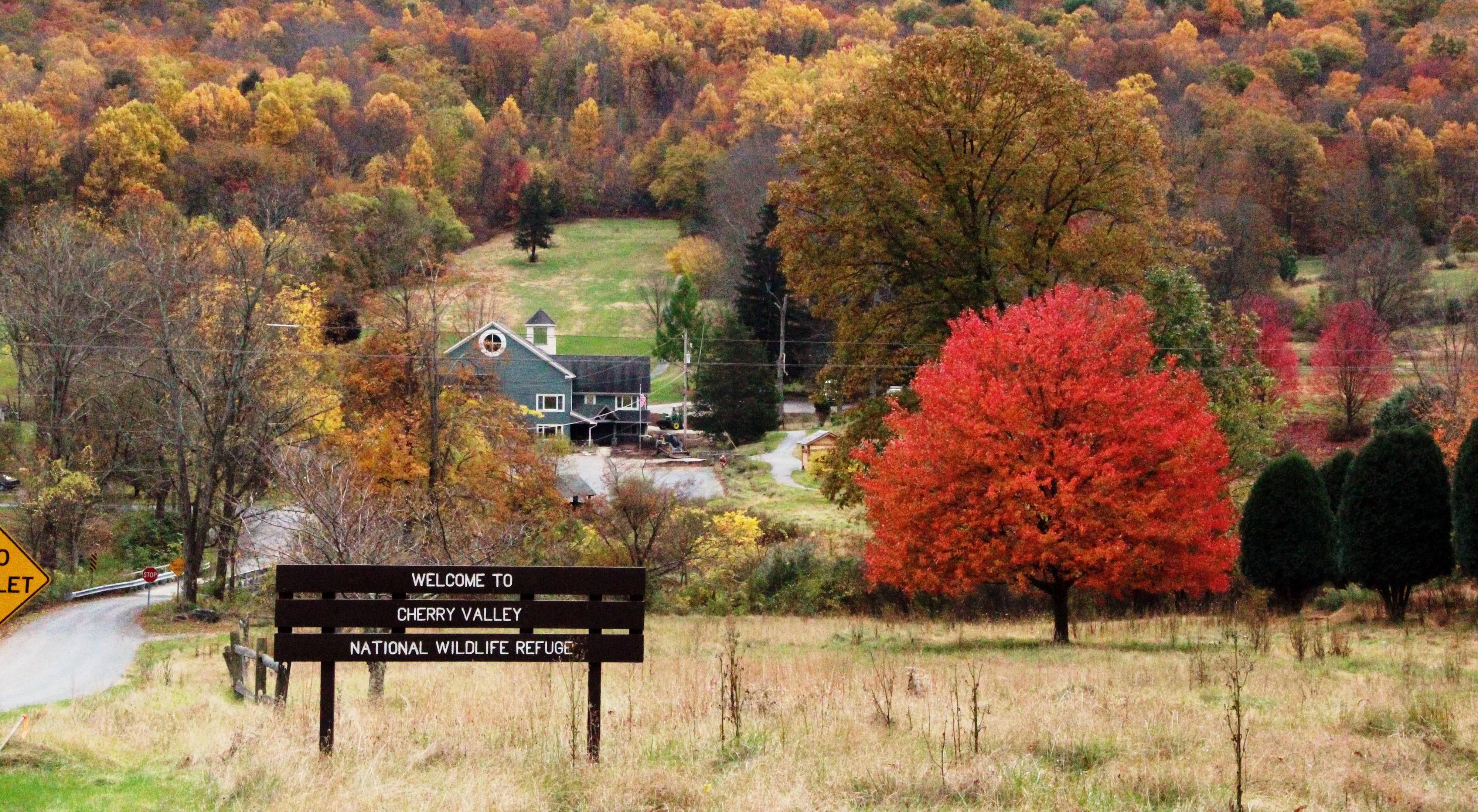 A view of a wooden sign with the words "cherry valley" sits in front of a small town with red and orange leafed trees in the distance.
