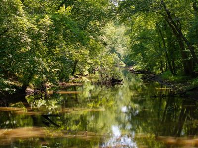A view of the restored river.