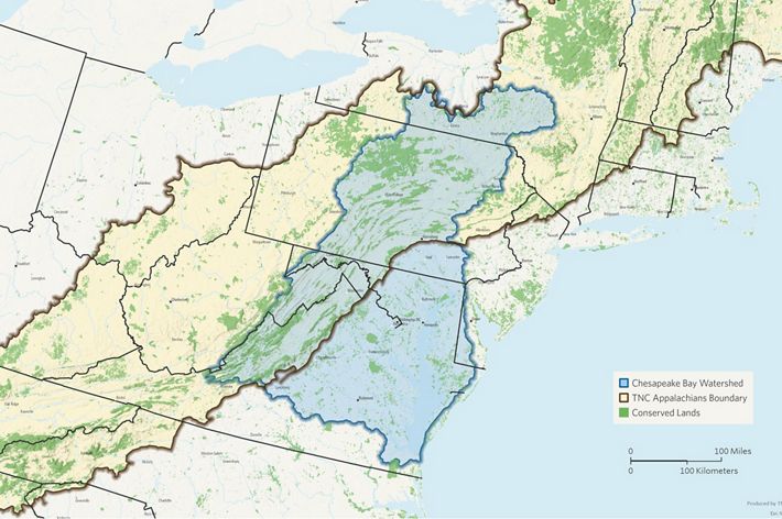 Map of the Chesapeake Bay watershed showing an area that span the Appalachian Mountain range from New York to Virginia.