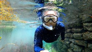 A man snorkels in clear blue water, surrounded by colorful plants and brown rocks.