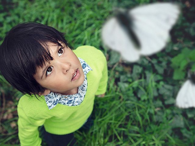 A child stares in wonder at butterflies floating above their head.