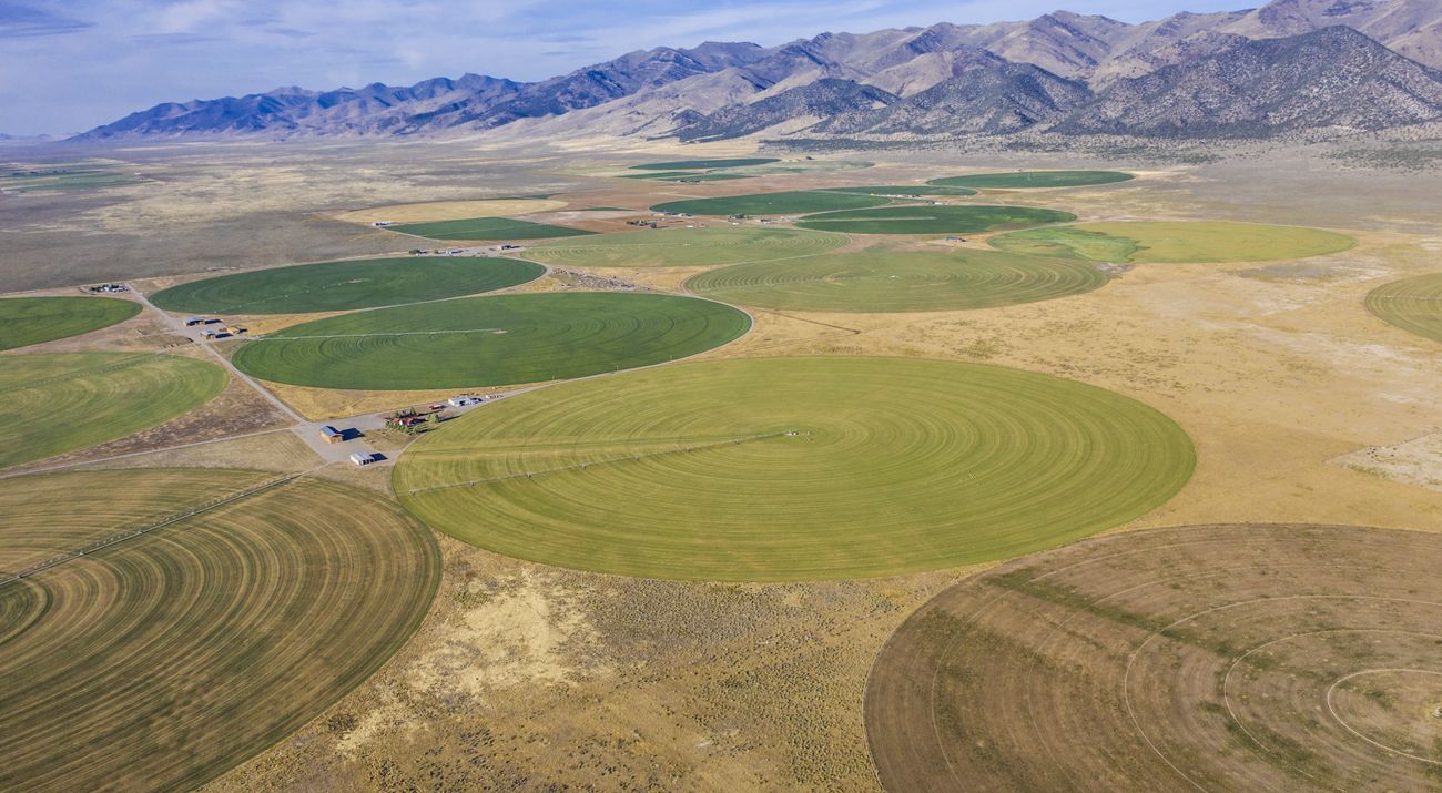 Aerial view of agricultural fields in Diamond Valley, with a mountain range in the background.