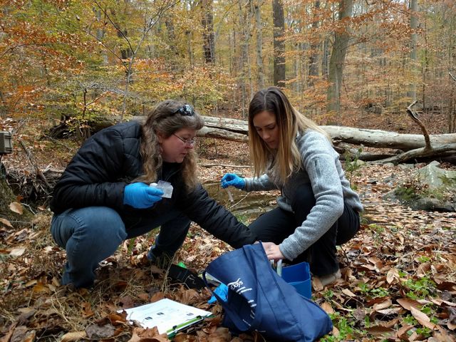 Two women crouch next to each other in a forest taking samples from water collected in a small blue basin.