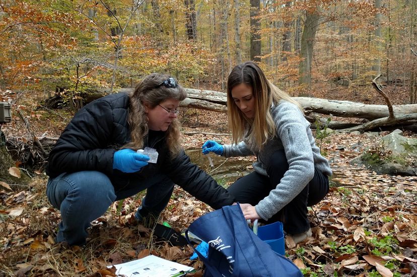 Two people with test tubes in their hands kneel down in the woods examining something.
