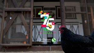 We’re excited to celebrate 75 years of TNC with you.