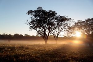 Stories in Latin America