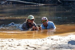 Two men lie in shallow water holding mussels near the sandy bank of a river.