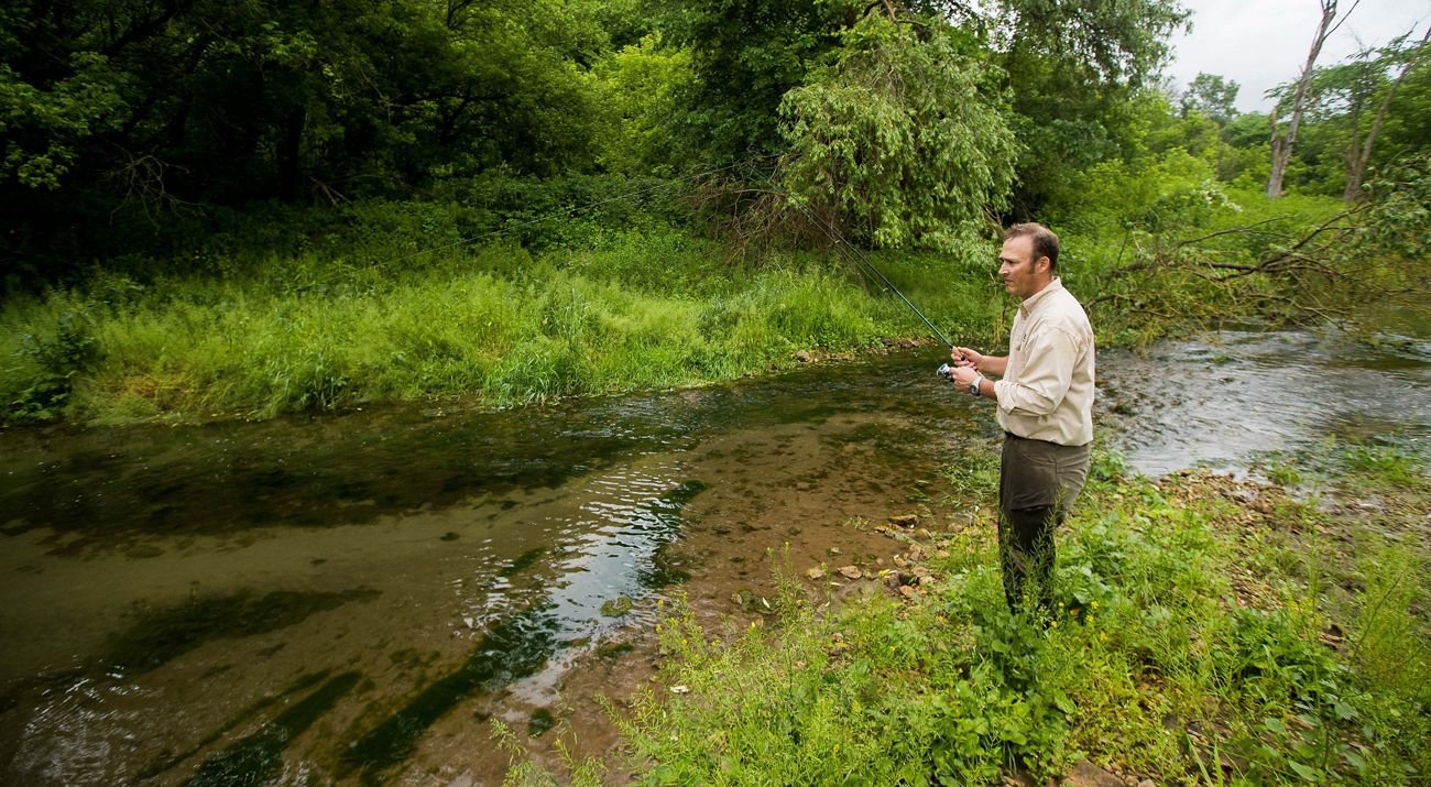 Vespa Creek at Choice WMA