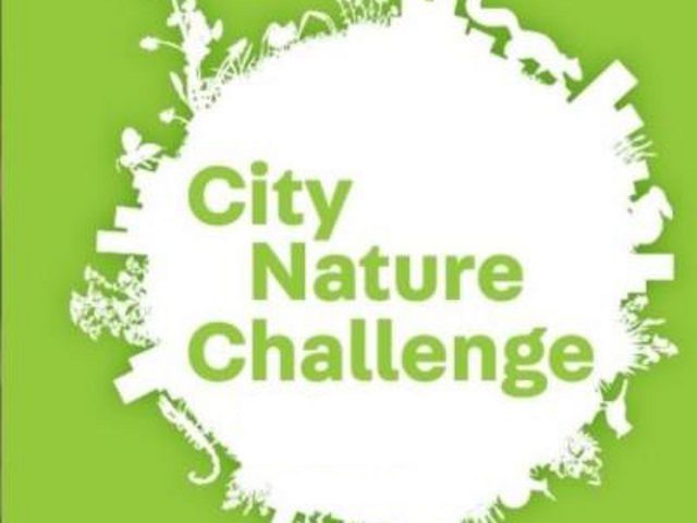 White circle with an irregular edge showing the outline of tall buildings and animals on a green background with the words City Nature Challenge in the center.