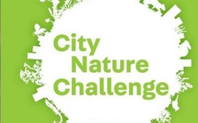 White circle with an irregular edge showing the outline of tall buildings and animals on a green background with the words City Nature Challenge in the center.