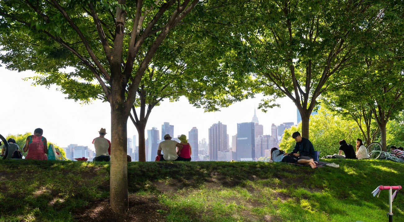 Several people sit in the shade under trees as they look out at a city skyline.