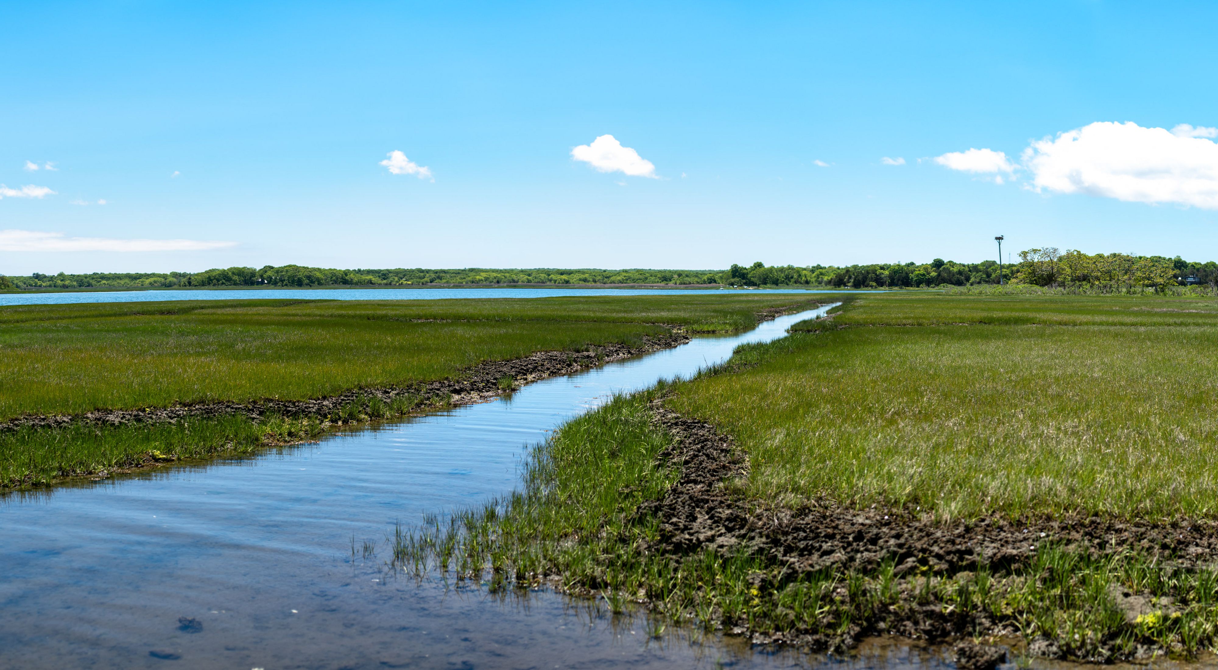 A narrow stream meanders through a bright green salt marsh under blue skies with scattered clouds.