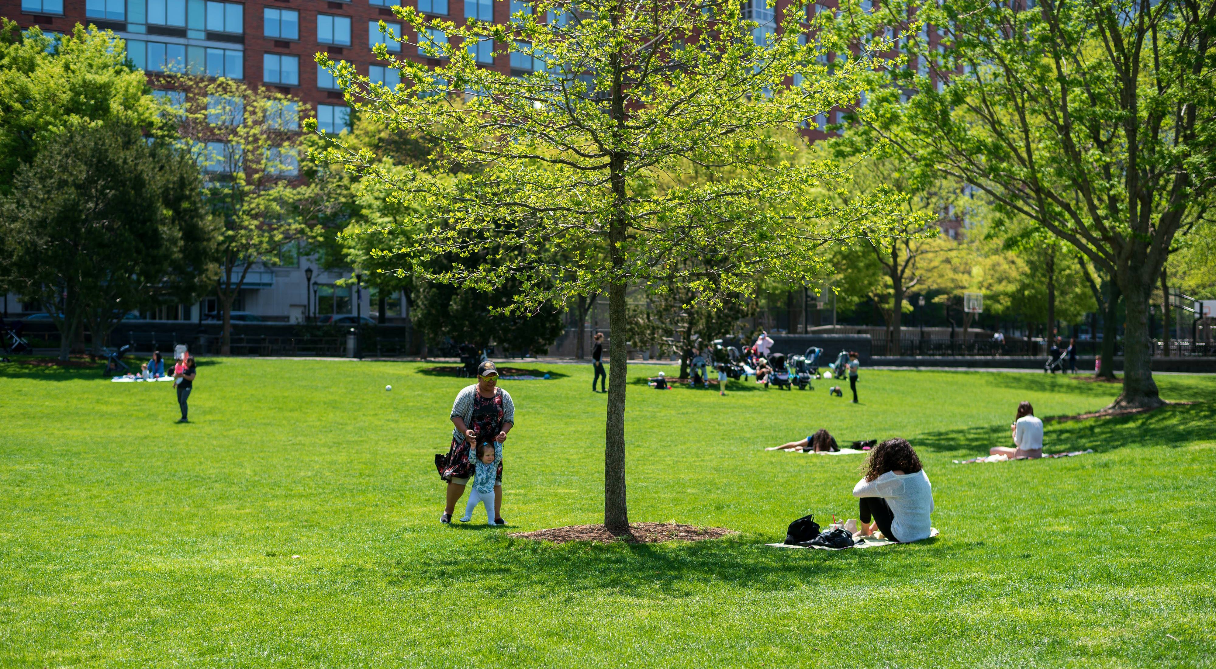 A sunny day in Hudson River Park
