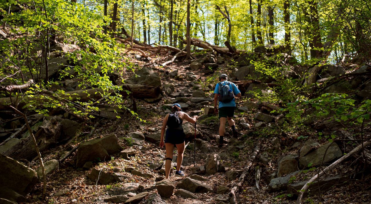 Hikers climbing a uphill trail.