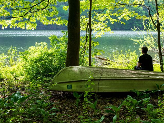 A man with his back turned sitting at looking at water surrounded by greenery.