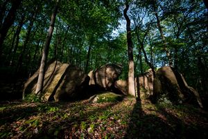 Shadows cast over boulders and a few trees.