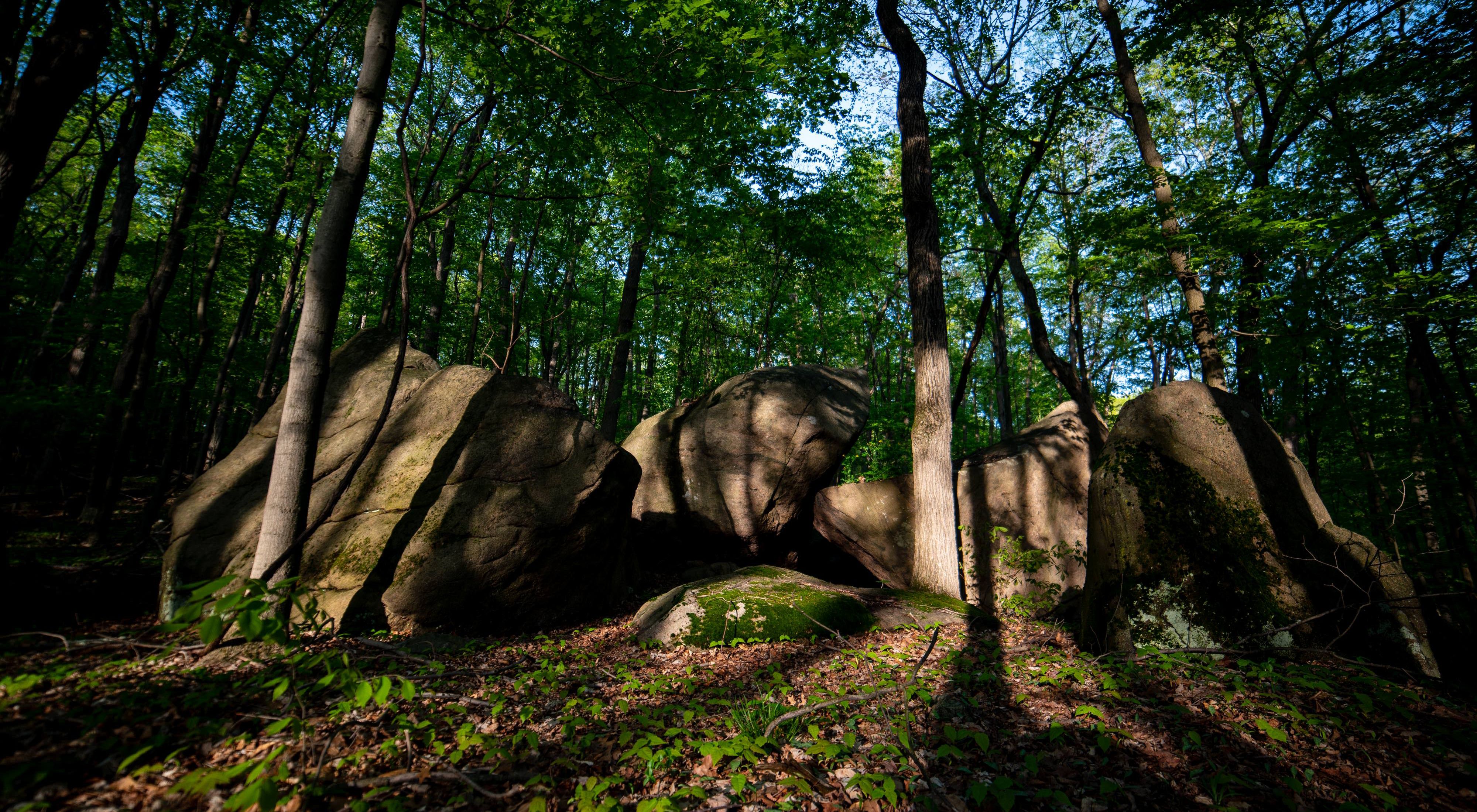 Shadows cast over boulders and a few trees.