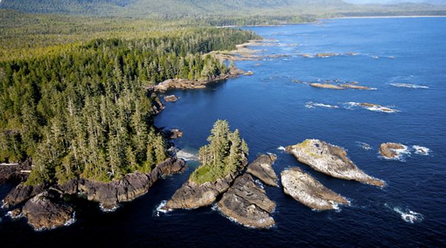 A lush, green forest coast next to a large body of water with scattered rock islands.