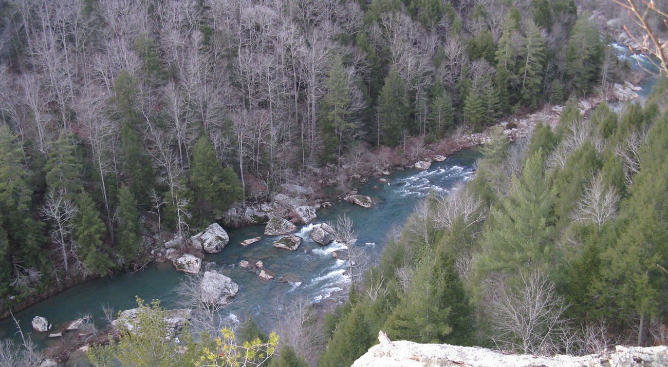 A birds eye view provides a glimpse of a creek surrounded by forest.