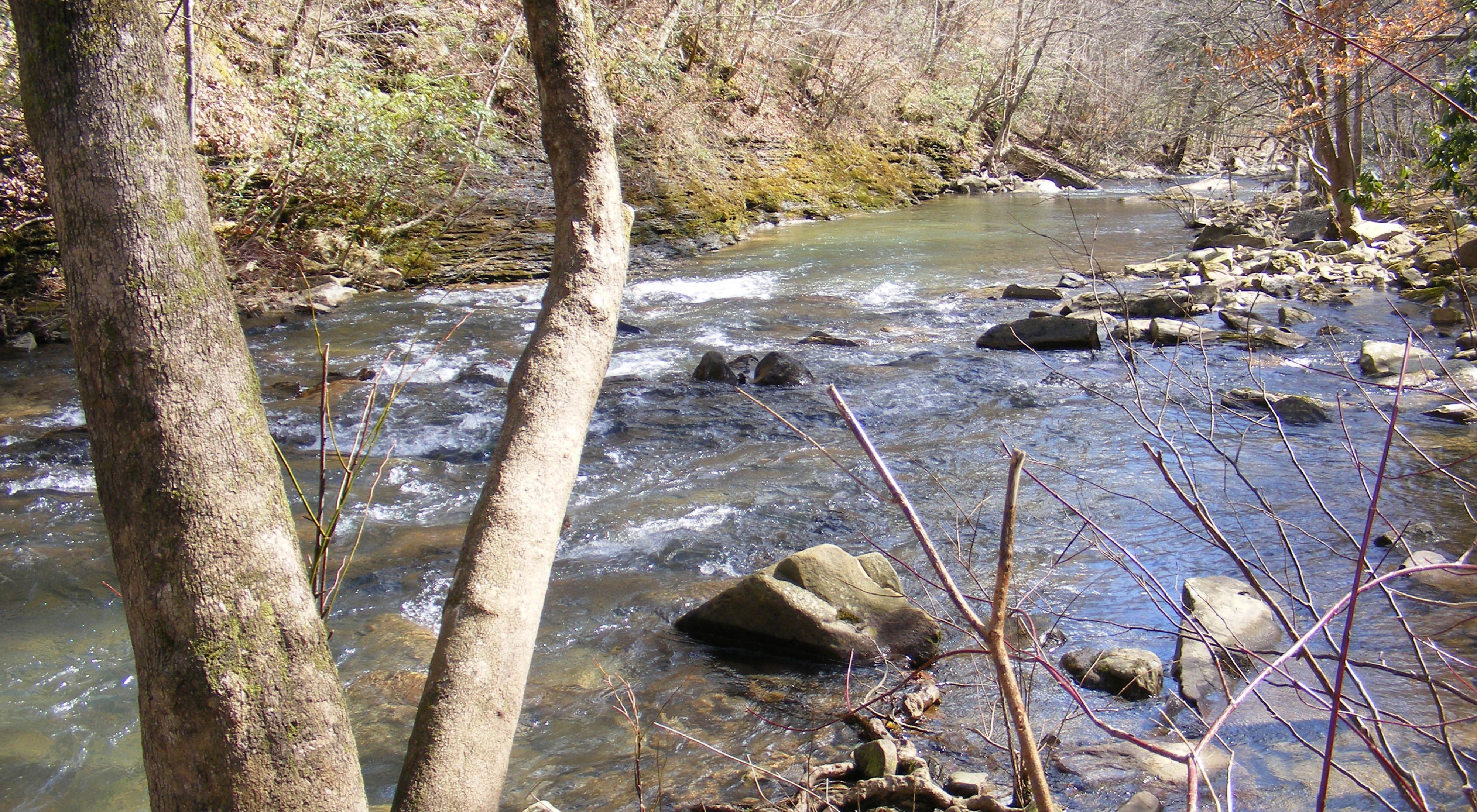 Clifty Creek Preserve, located beside the Emory River.
