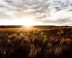 The sun sets along the horizon of a wide expanse of grassland, turning the landscape a golden brown color.