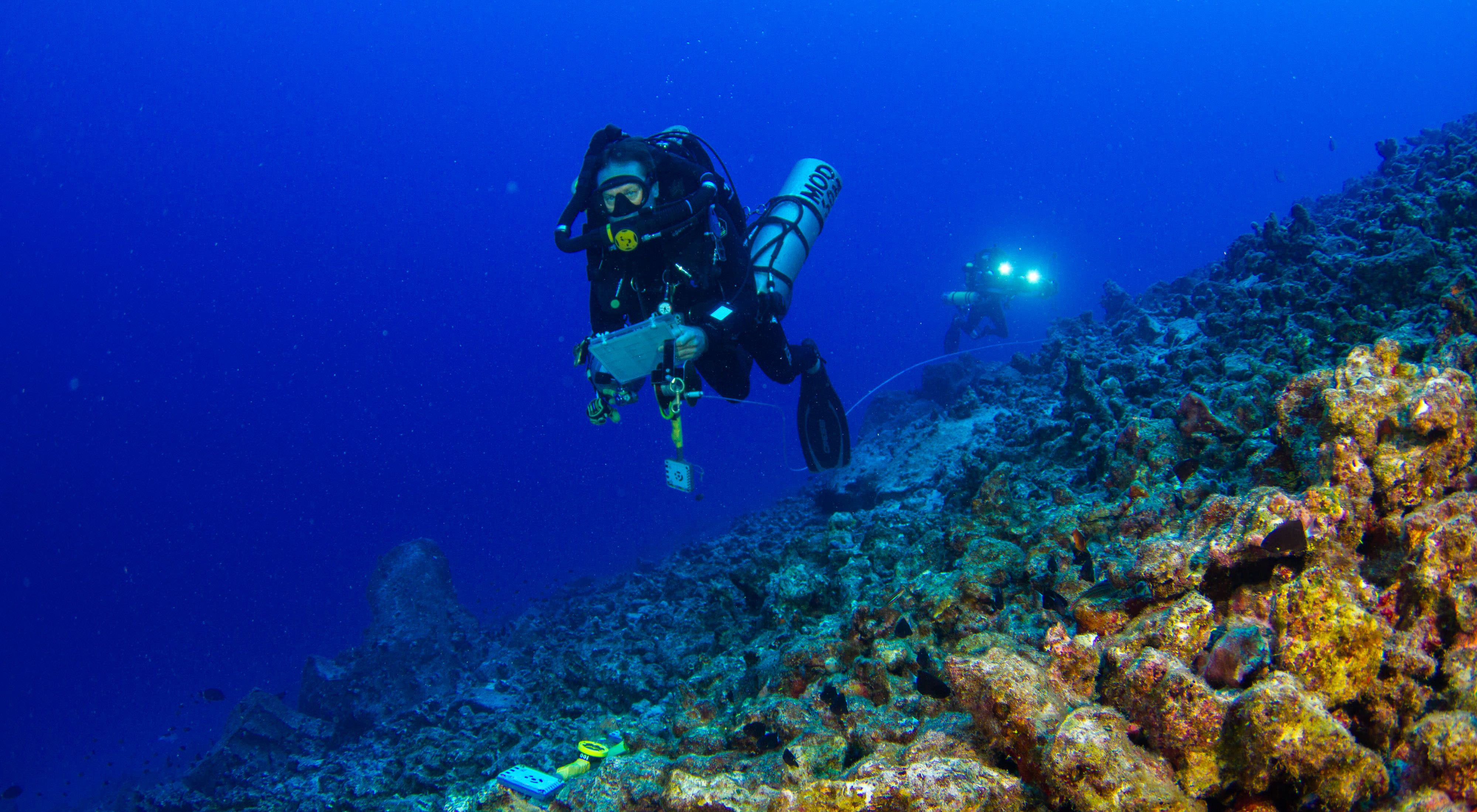 to study coral reef resilience.