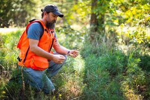 A man wearing an orange vest and a hat handles a tree seedling.