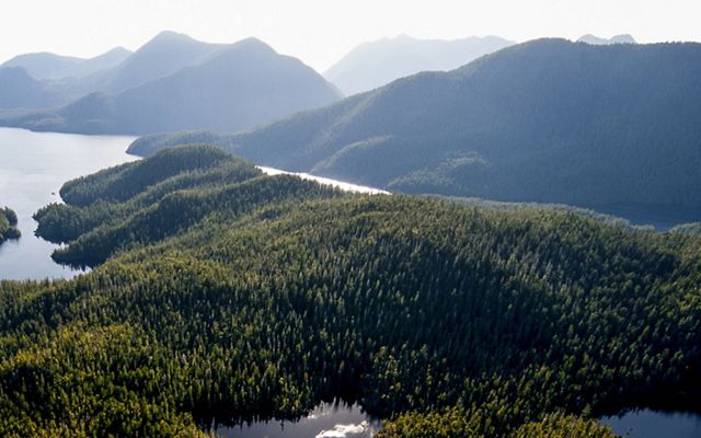 Clayoquot Sound on Vancouver Island in British Columbia, Canada.