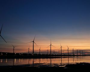 Wind turbines on a shoreline at dawn.