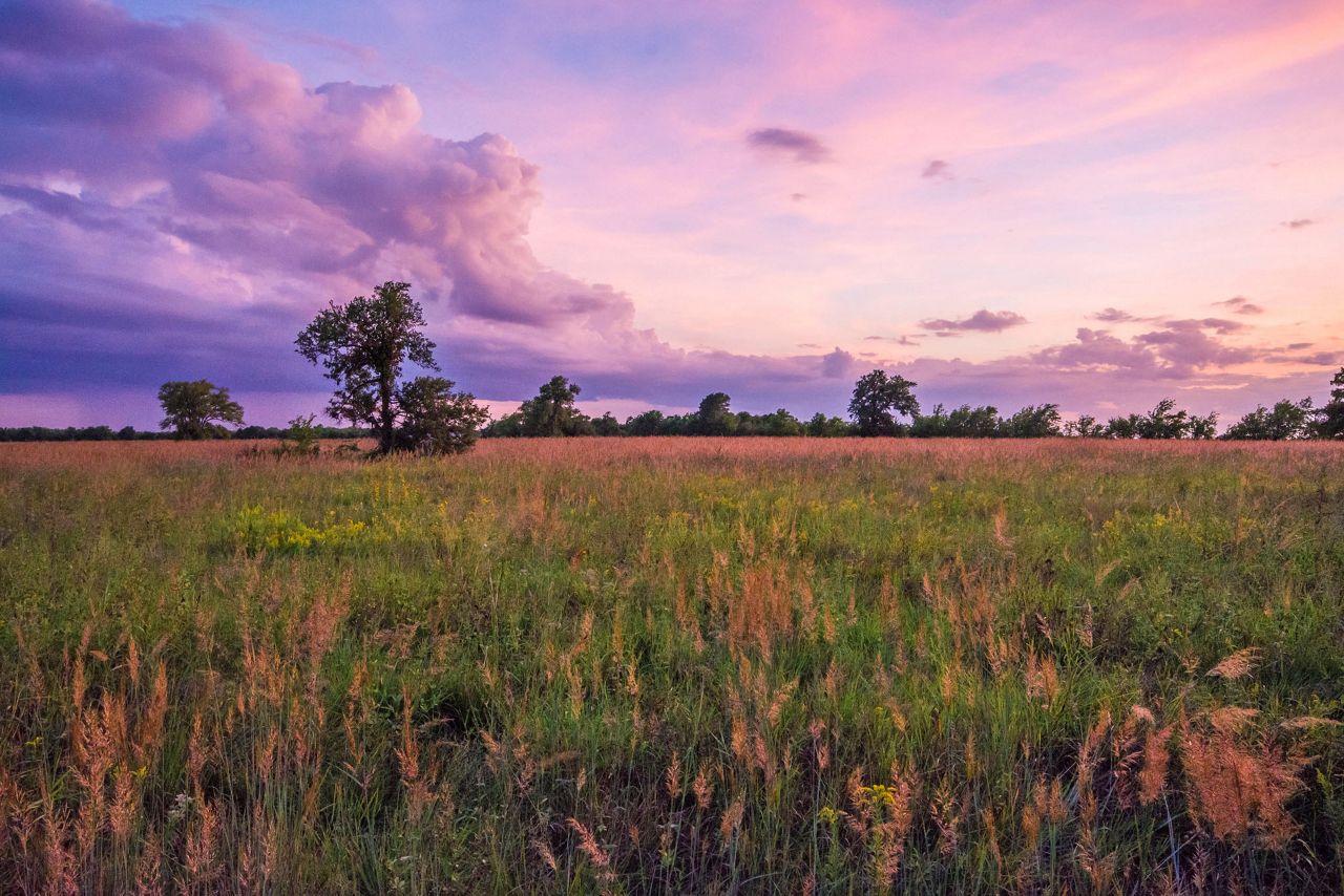Clymer Meadow Preserve The Nature Conservancy in Texas