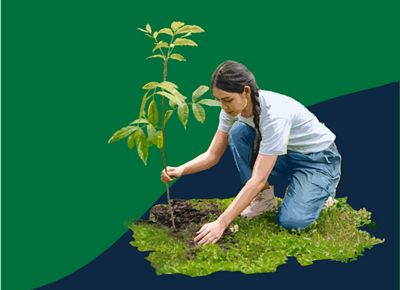 Illustration of a woman planting a tree with a dark blue background.