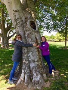Two women stand on opposite sides of a large tree trunk, smiling and posing while hugging the tree.