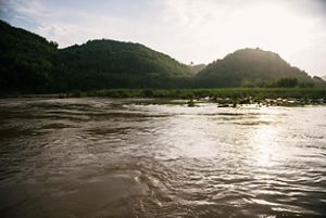 A river with lush vegetation behind it.