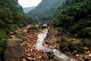 A narrow stream.