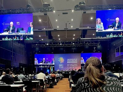 Conference hall at COP16 filled with people.
