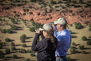 Two people looking through binoculars into a canyon.