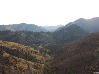 An aerial shot of a burned forest.