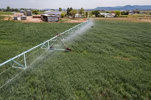 A large agricultural field being irrigated.