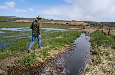 Paul Bruchez at a farm walking on grass next to water in a ditch.