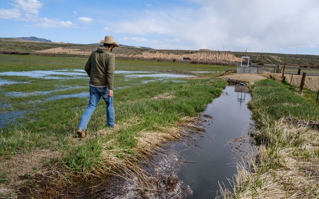 A rancher man driving an ATV vehicle across his ranch.