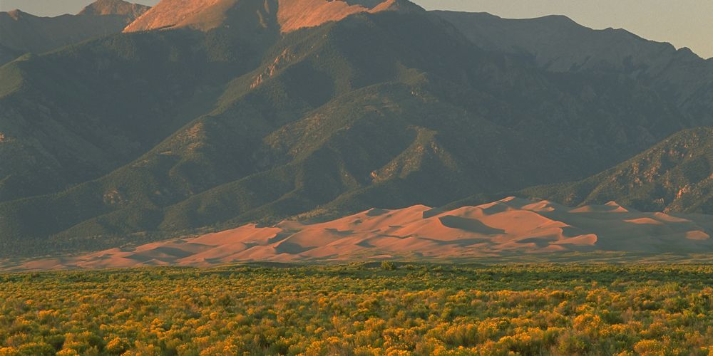 A vast field of scrubbrush extends toward sand dunes and mountains in the distance.